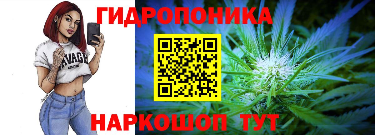 Конопля Bruce Banner Сафоново